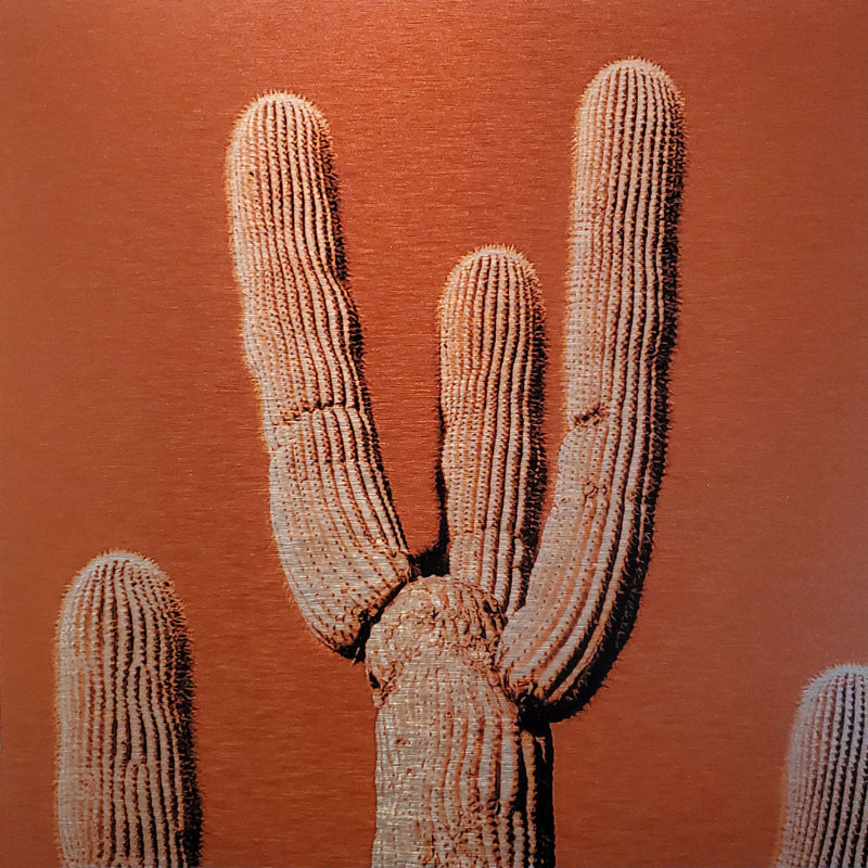 A close-up photograph of several arms of a saguaro cactus with a brushed aluminum print finish in a matte metallic color, displayed against a metallic orange background.