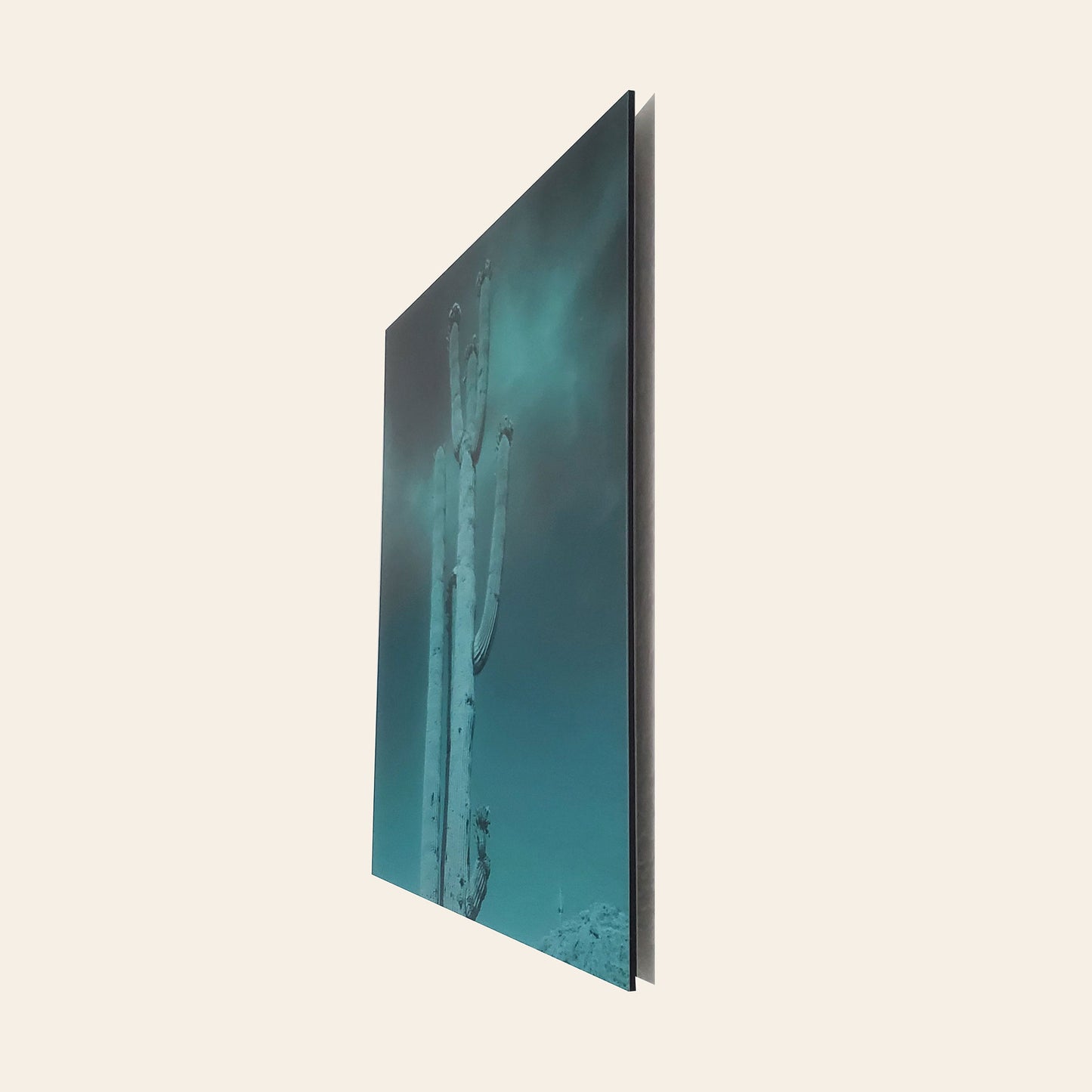 Blossoming Saguaro - Brushed Aluminum Print - Deep Sea