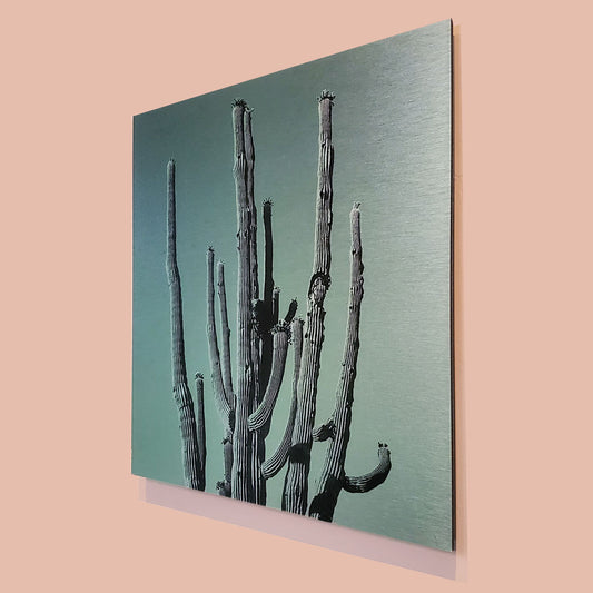 Many Arms Saguaro Cactus - Brushed Aluminum Print, Faded Green