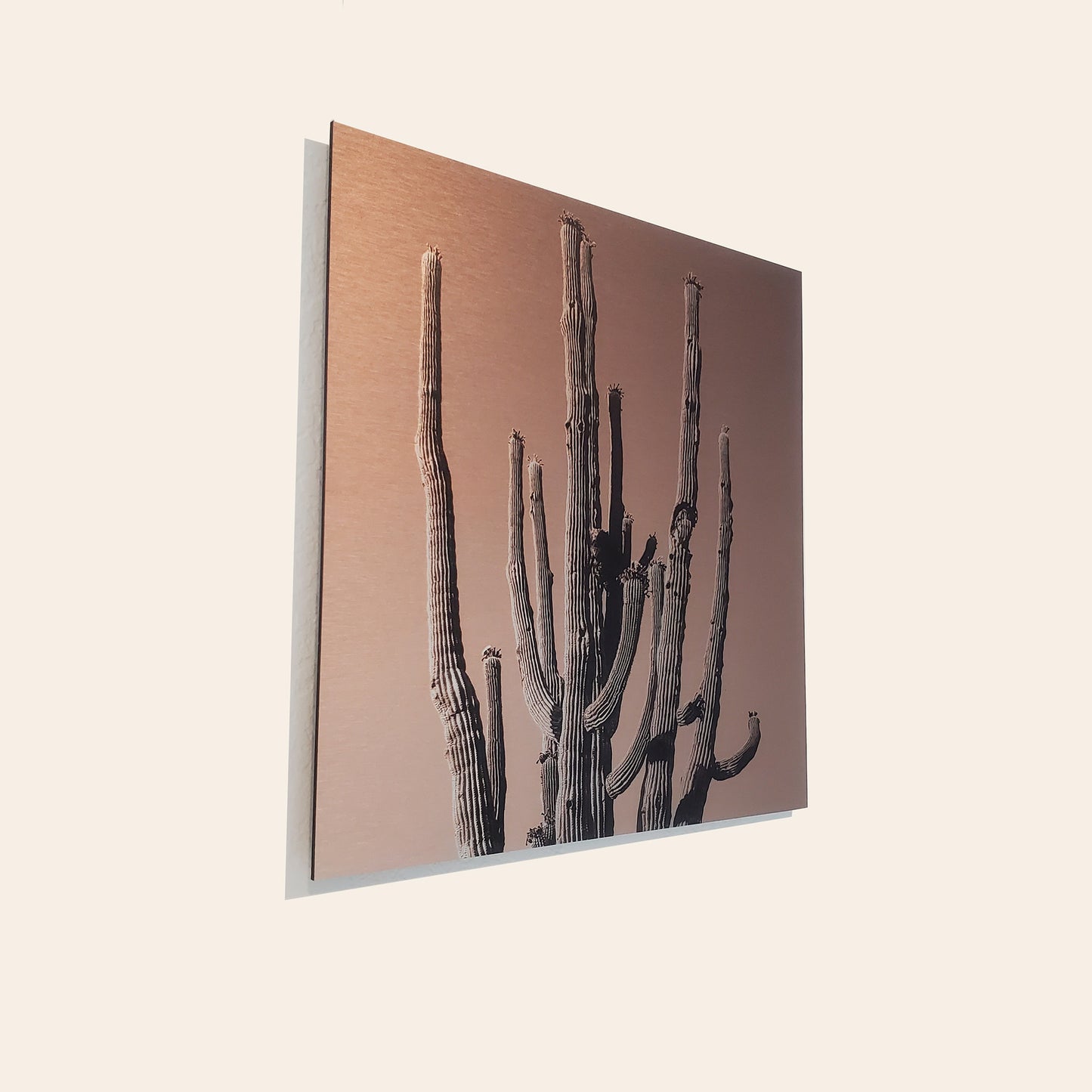 Many Arms Saguaro Cactus - Brushed Aluminum Print, Dusty Orange