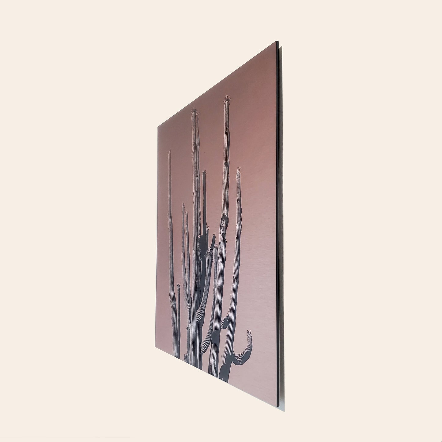 Many Arms Saguaro Cactus - Brushed Aluminum Print, Dusty Orange