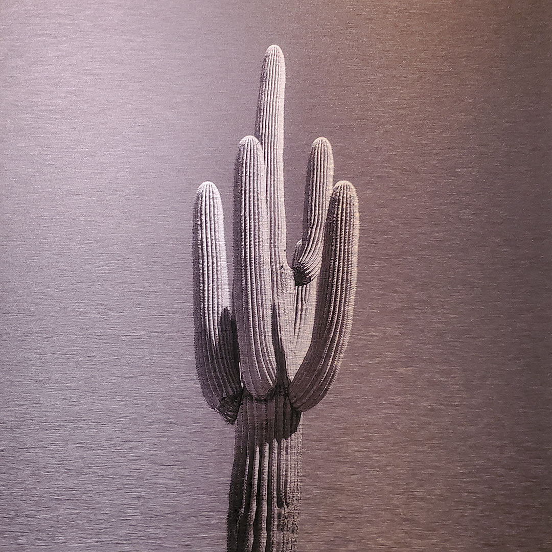 Single saguaro cactus Printed on brushed aluminum panel, matte metallic finish Saturation of color will vary depending on where you hang it and how the light reflects off of it 12"x12" Limited edition of 50 Signed and numbered on back Comes with French cleat mount for hanging