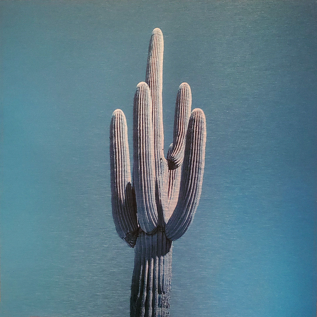 Photo of single saguaro cactus Printed on brushed aluminum panel, matte metallic finish Saturation of color will vary depending on where you hang it and how the light reflects off of it 12"x12" Limited edition of 50 Signed and numbered on back Comes with French cleat mount for hanging