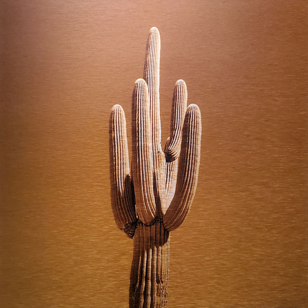 Single saguaro cactus Printed on brushed aluminum panel, matte metallic finish Saturation of color will vary depending on where you hang it and how the light reflects off of it 12"x12" Limited edition of 50 Signed and numbered on back Comes with French cleat mount for hanging
