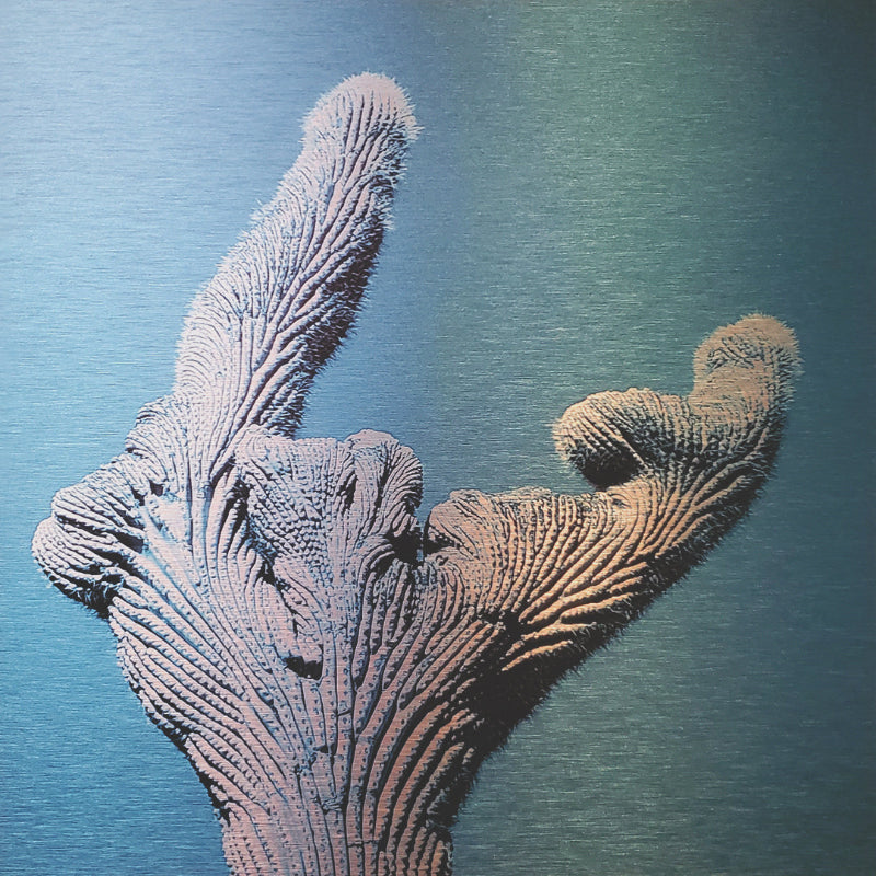 Crested cactus on the Sweetwater trail in Tucson, AZ Printed on brushed aluminum panel, matte metallic finish Limited edition of 150 12"x12" Signed and numbered on back