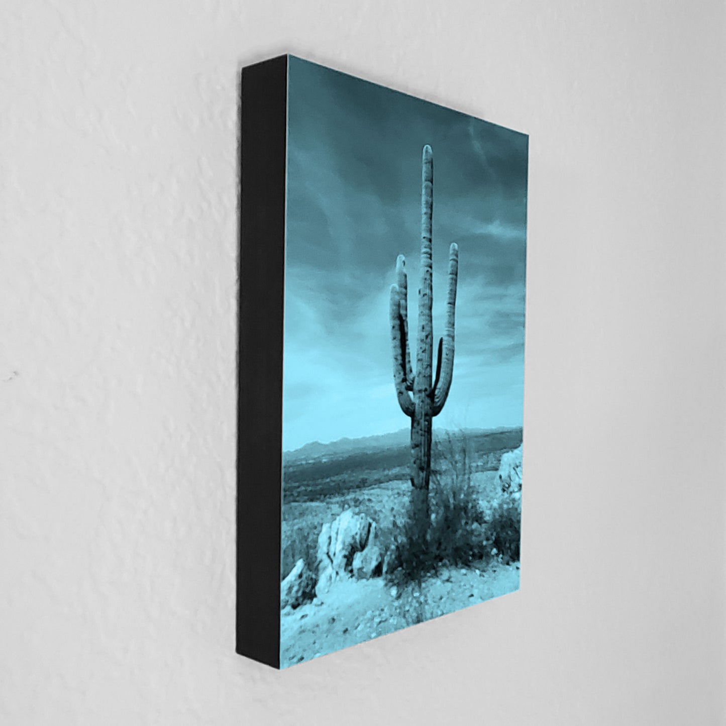 Lone Saguaro (5 color options)
