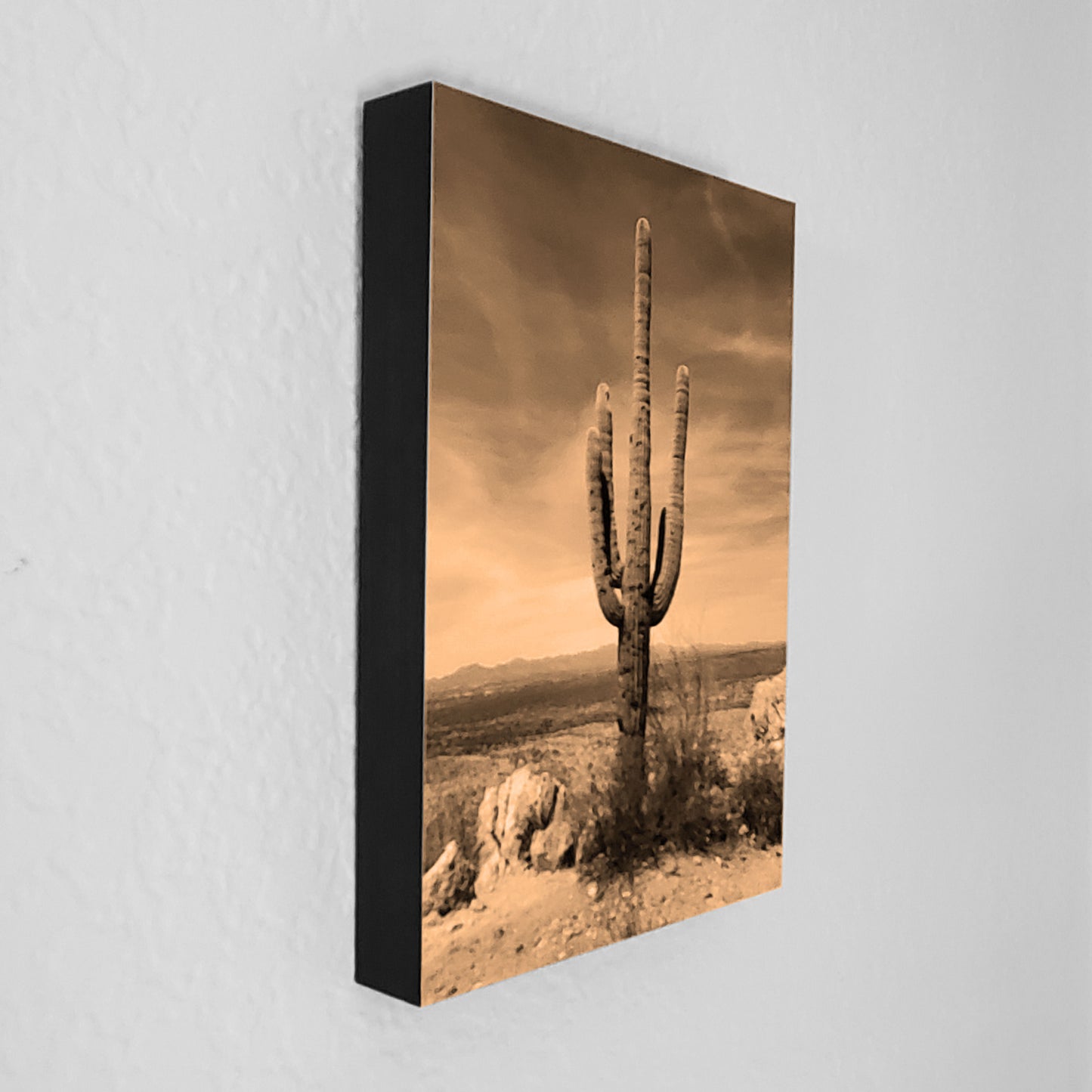 Lone Saguaro (5 color options)