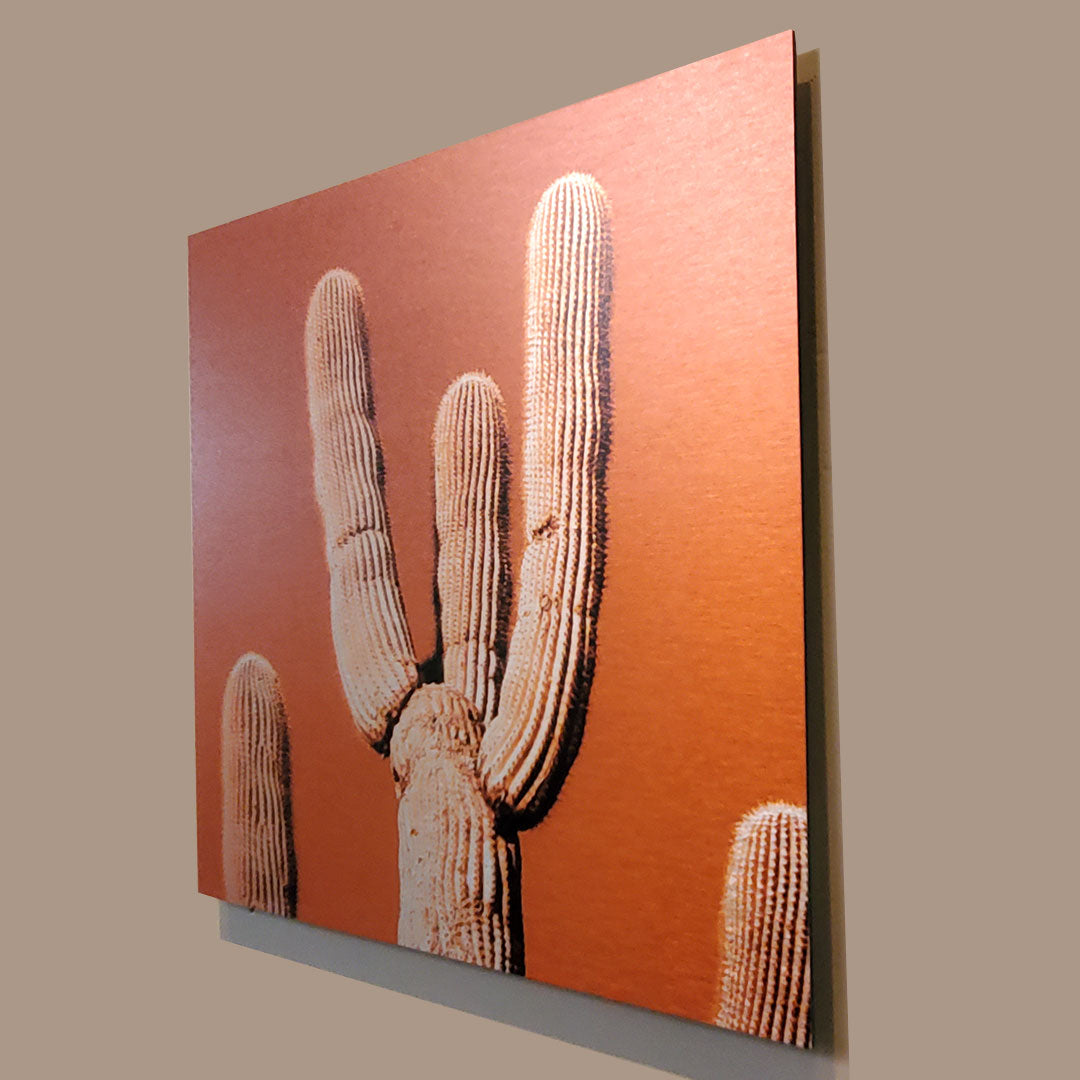 5 Tips Saguaro - Brushed Aluminum Print, Saturated Orange