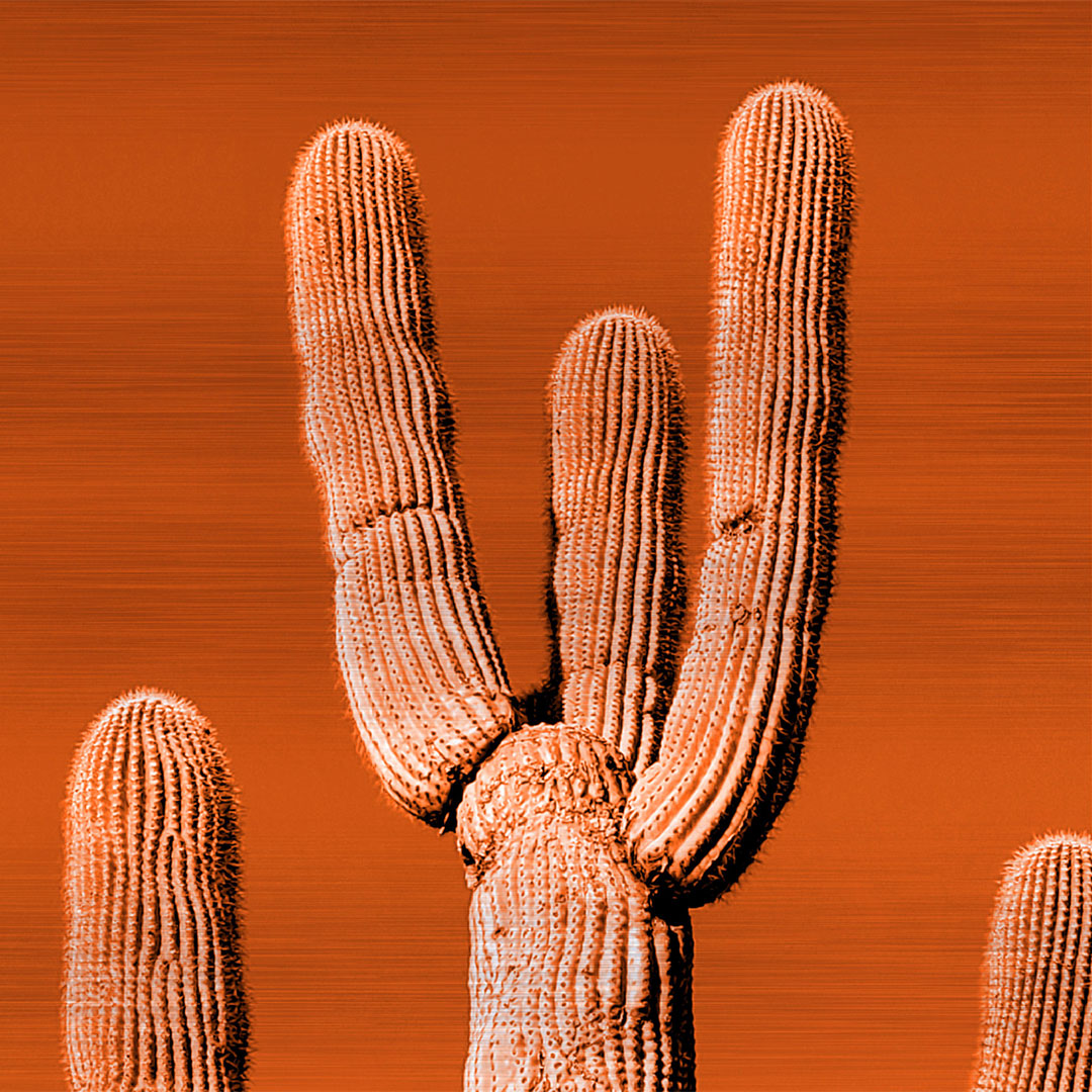 5 Tips Saguaro - Brushed Aluminum Print, Saturated Orange