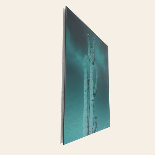 Blossoming Saguaro - Brushed Aluminum Print - Deep Sea