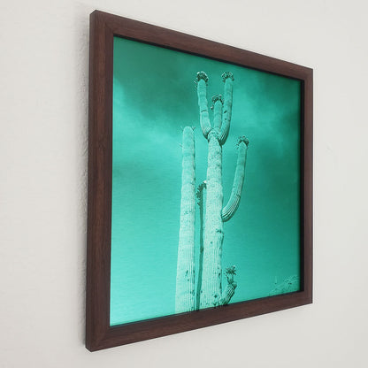 Blossoming Saguaro - Brushed Aluminum Print - Deep Sea