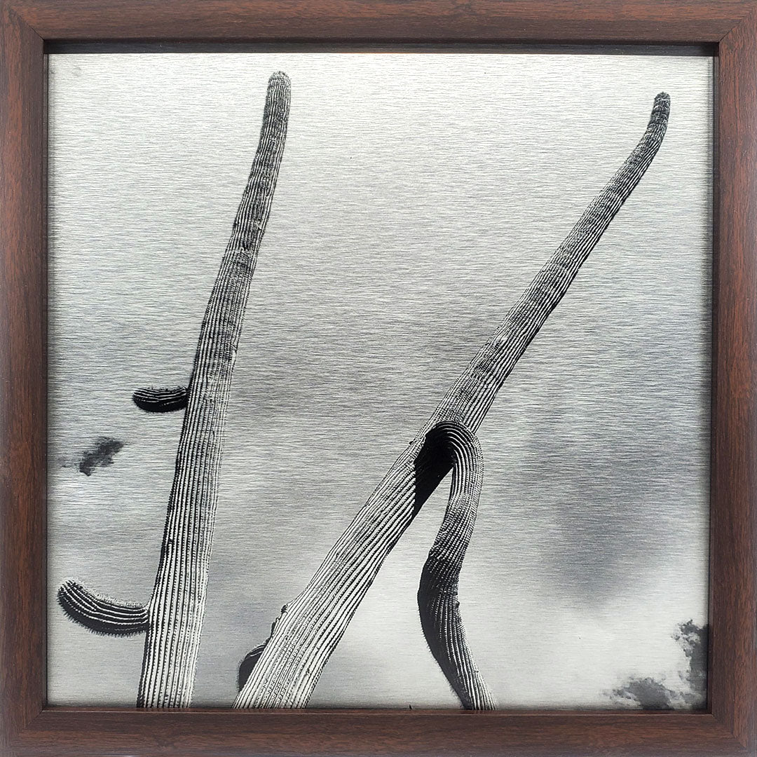 Long Arms - Brushed Aluminum Print - Black & White