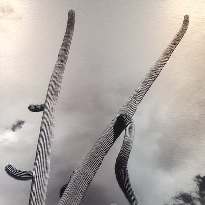 Long Arms - Brushed Aluminum Print - Black & White