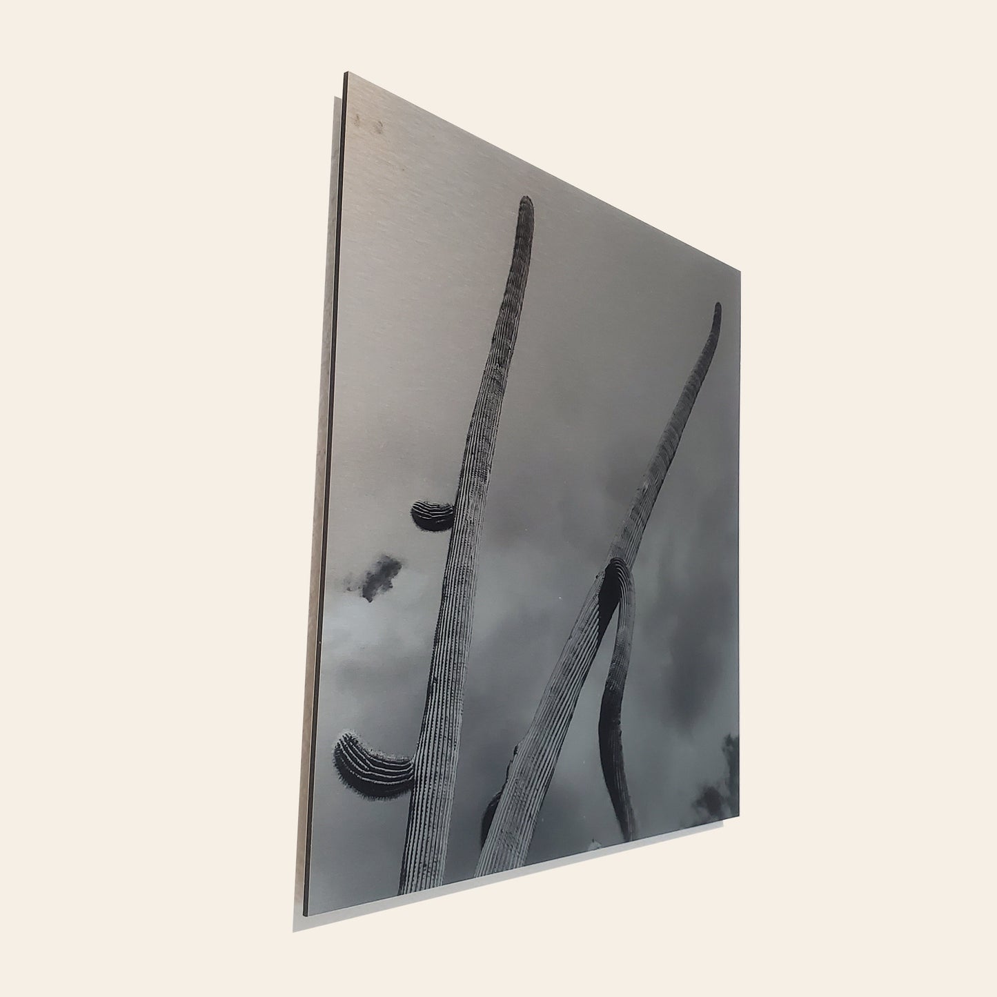 Long Arms - Brushed Aluminum Print - Black & White