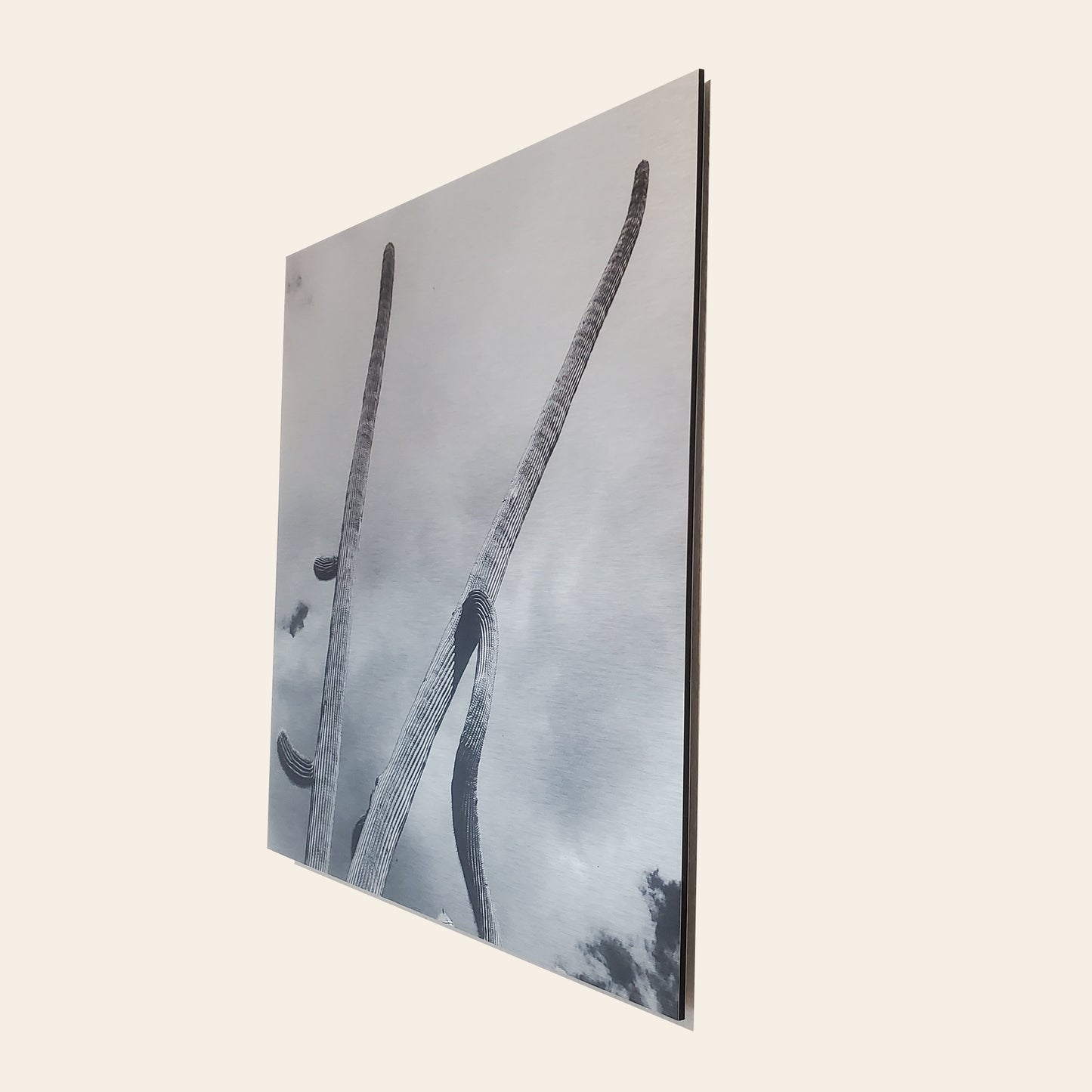 Long Arms - Brushed Aluminum Print - Black & White