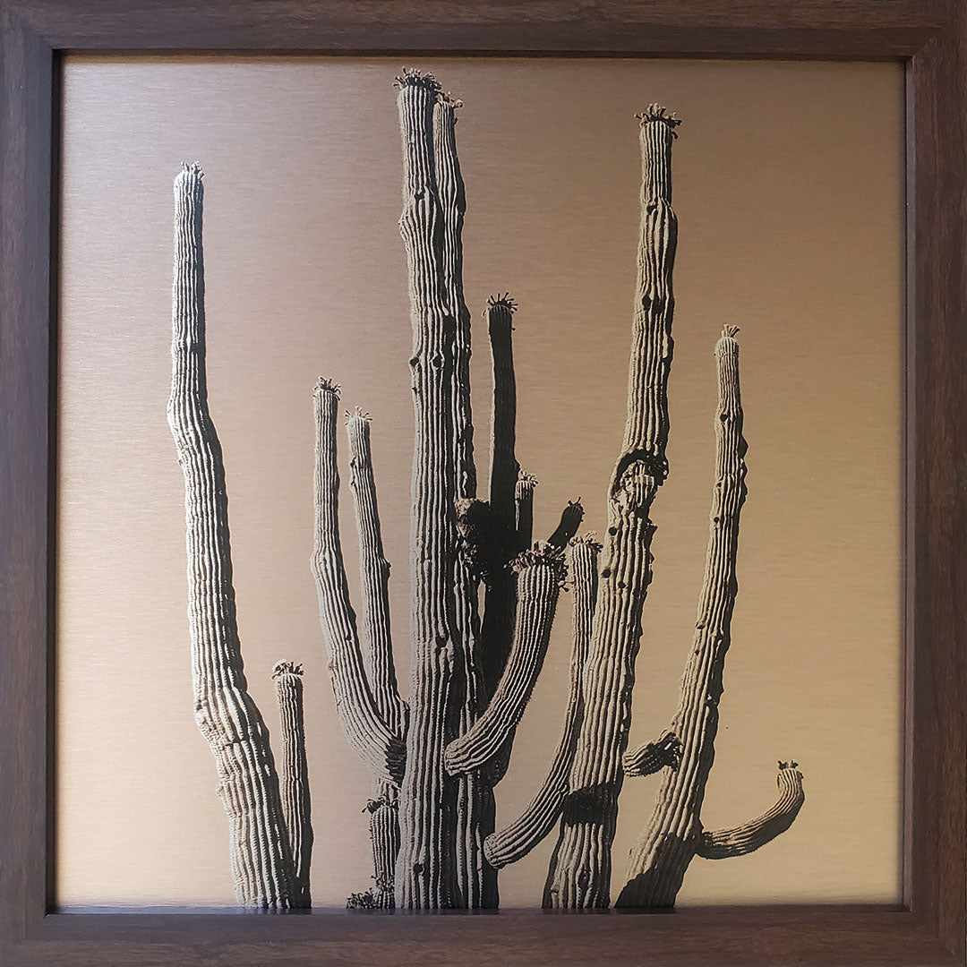 Many Arms Saguaro Cactus - Brushed Aluminum Print, Dusty Orange