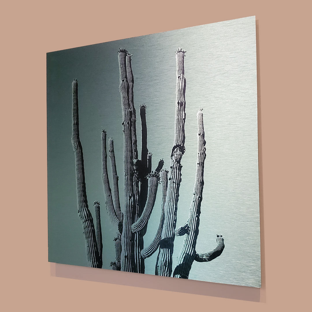 Many Arms Saguaro Cactus - Brushed Aluminum Print, Faded Green