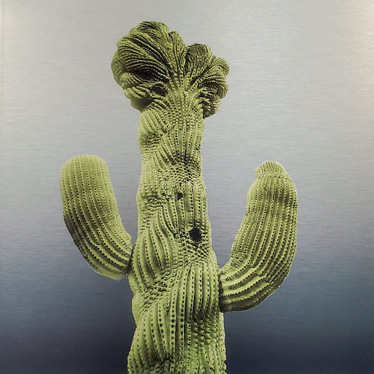 Old Main Crested Cactus - Brushed Aluminum Print - Olive