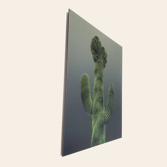 Old Main Crested Cactus - Brushed Aluminum Print - Olive