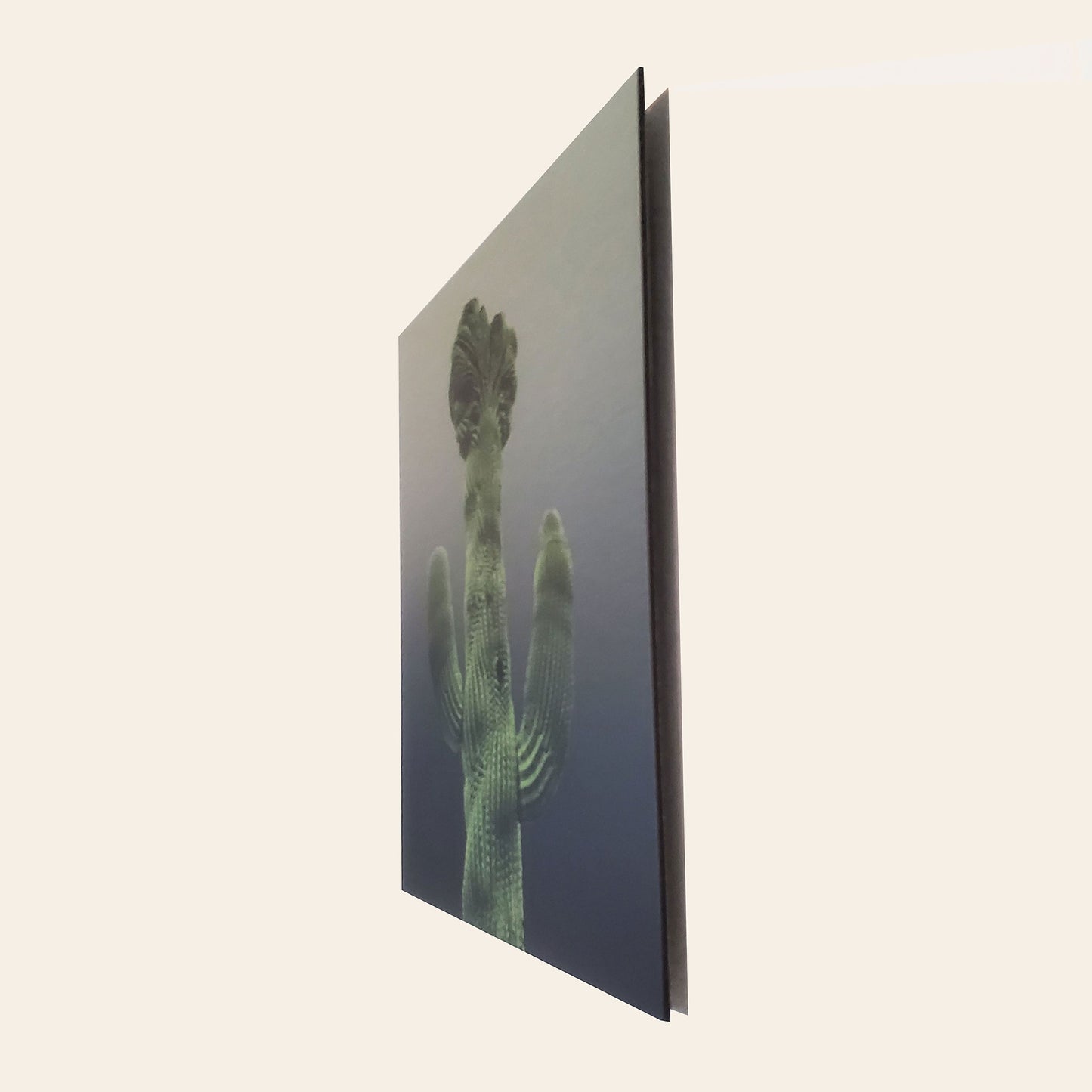 Old Main Crested Cactus - Brushed Aluminum Print - Olive