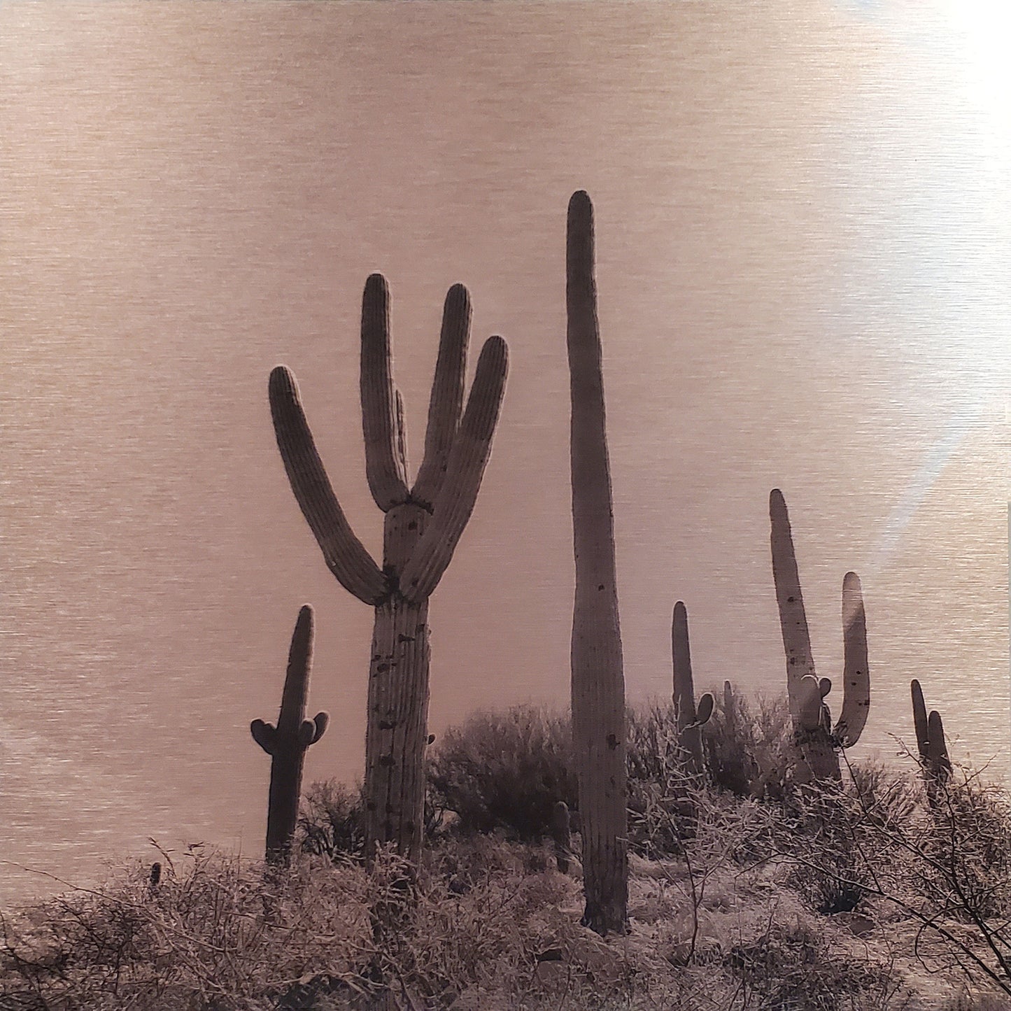 Sunrise - Dusty Orange