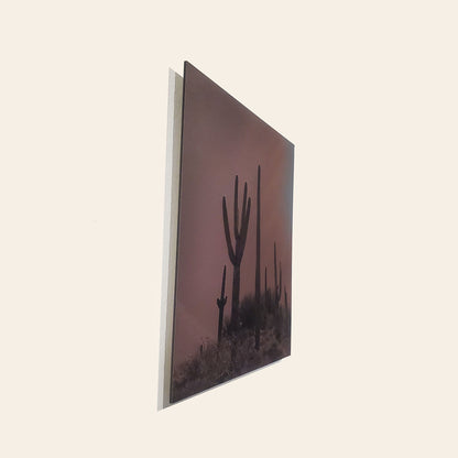 Sunrise - Dusty Orange