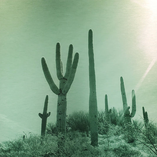 Sunrise - Green
