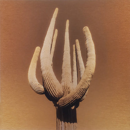 Sutherland Saguaro - Burnt Orange