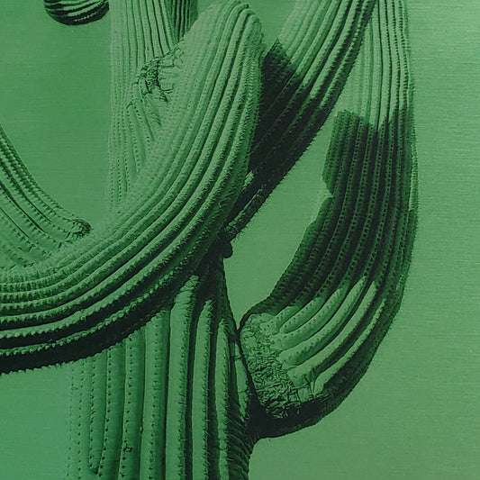 Swooped - Green