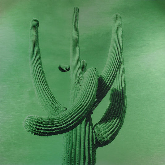 Swooped - Green