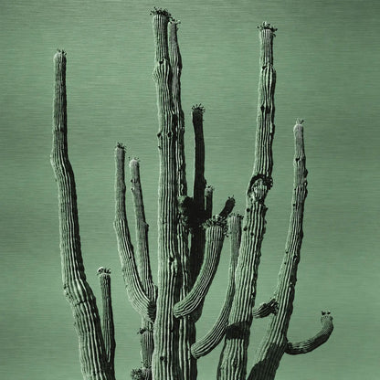 Many Arms Saguaro Cactus - Brushed Aluminum Print, Faded Green