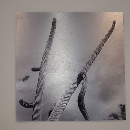 Long Arms - Brushed Aluminum Print - Black & White