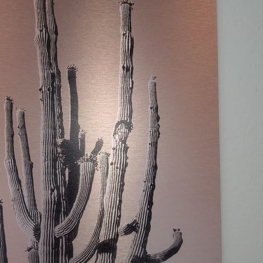 Many Arms Saguaro Cactus - Brushed Aluminum Print, Dusty Orange