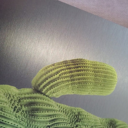 Old Main Crested Cactus - Brushed Aluminum Print - Olive