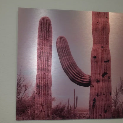Limited Edition: City View - Brushed Aluminum Print