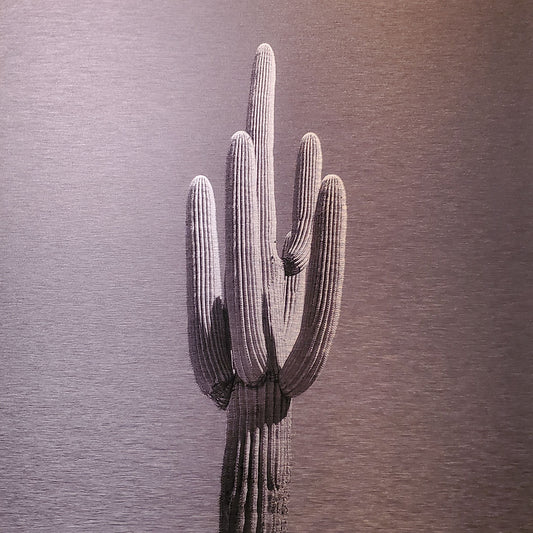 Single saguaro cactus Printed on brushed aluminum panel, matte metallic finish Saturation of color will vary depending on where you hang it and how the light reflects off of it 12"x12" Limited edition of 50  Signed and numbered on back Comes with French cleat mount for hanging 