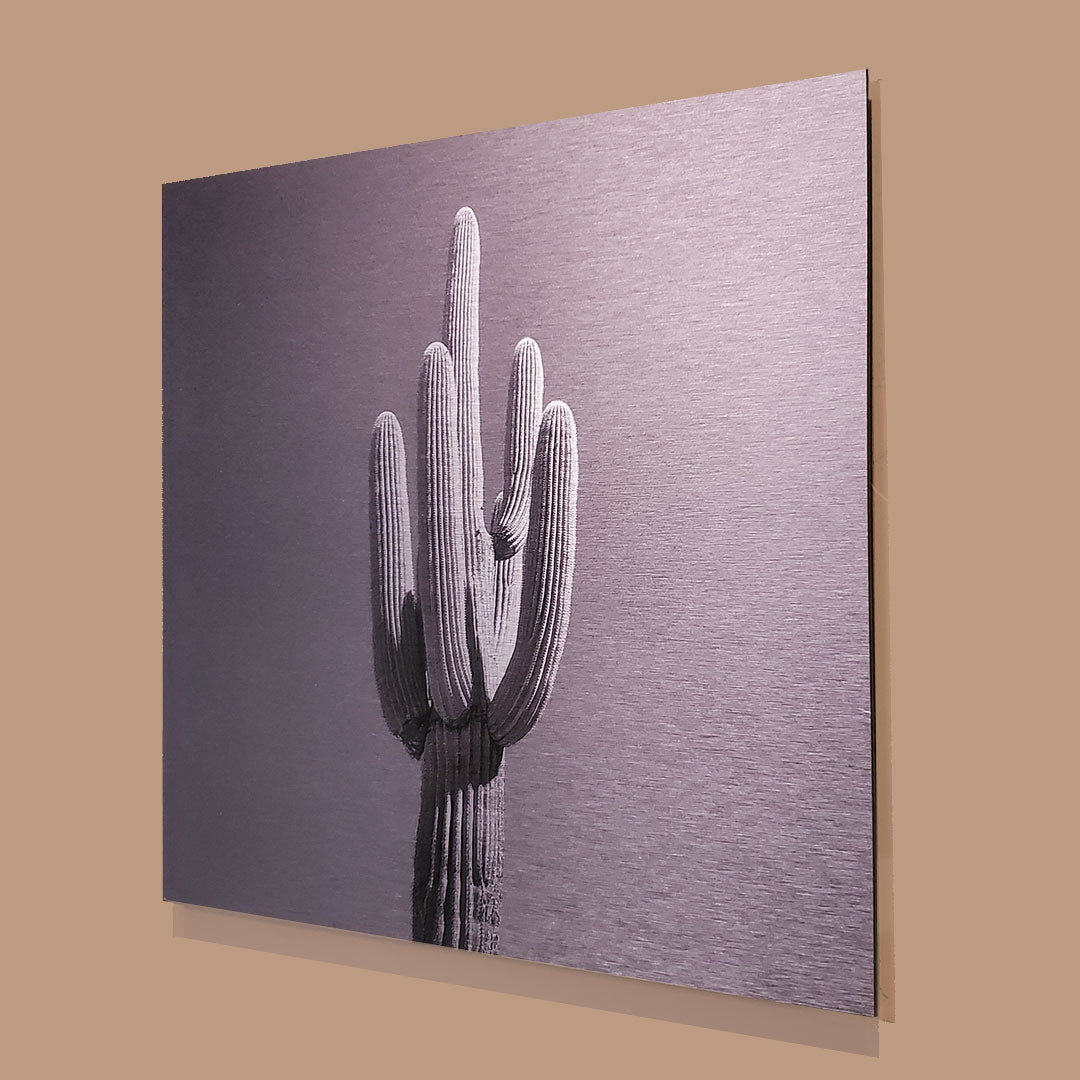 Single Saguaro - Brushed Aluminum Print - Black & White