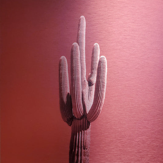 Single saguaro cactus Printed on brushed aluminum panel, matte metallic finish Saturation of color will vary depending on where you hang it and how the light reflects off of it 12"x12" Limited edition of 50  Signed and numbered on back Comes with French cleat mount for hanging 