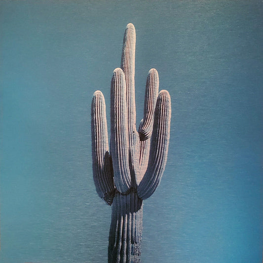 Photo of single saguaro cactus Printed on brushed aluminum panel, matte metallic finish Saturation of color will vary depending on where you hang it and how the light reflects off of it 12"x12" Limited edition of 50  Signed and numbered on back Comes with French cleat mount for hanging 