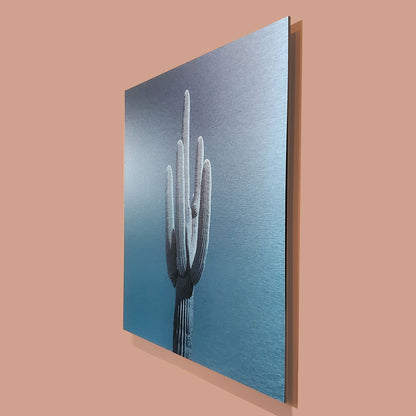 Single Saguaro - Brushed Aluminum Print - Cyan Sky