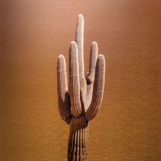 Single saguaro cactus Printed on brushed aluminum panel, matte metallic finish Saturation of color will vary depending on where you hang it and how the light reflects off of it 12"x12" Limited edition of 50  Signed and numbered on back Comes with French cleat mount for hanging 