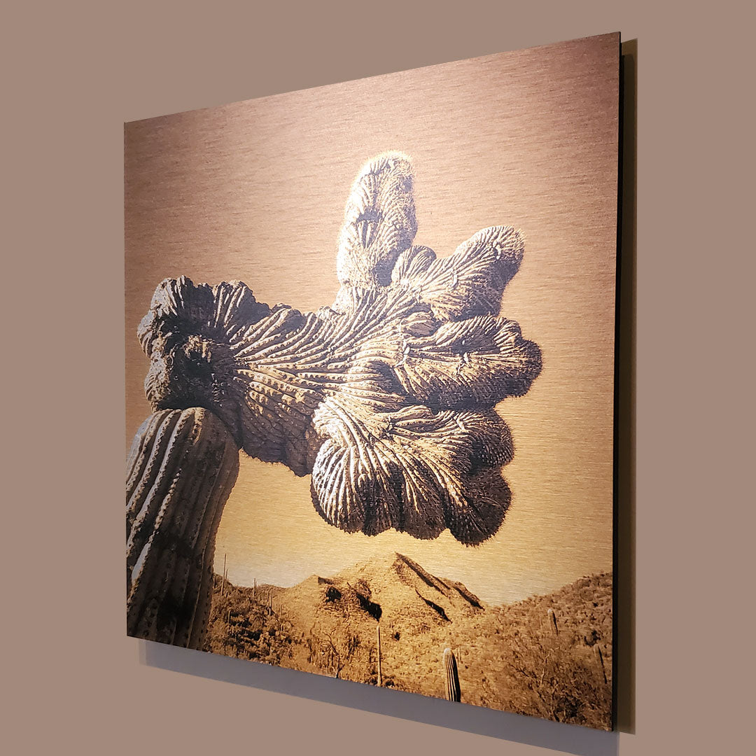 Thumbs Up! - Brushed Aluminum Print, Burnt Orange