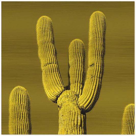 Saguaro photographed from below Printed on brushed aluminum, matte metallic finish Saturation of color will vary depending on where you hang it and how the light reflects off of it 12" x 12" Limited edition of 50 Signed and numbered on the back Comes with a French cleat mount for easy hanging (all hanging materials included) *Orders are custom printed, please allow 2-3 weeks for delivery
