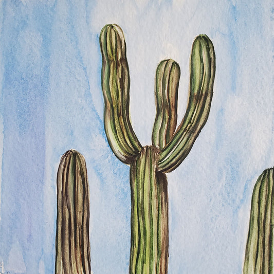 Small, 5x5 inch watercolor painting of three saguaro cacti .One cactus in the middle has three arms, the other two are younger with no arms. Set against a blue, rainy sky.
