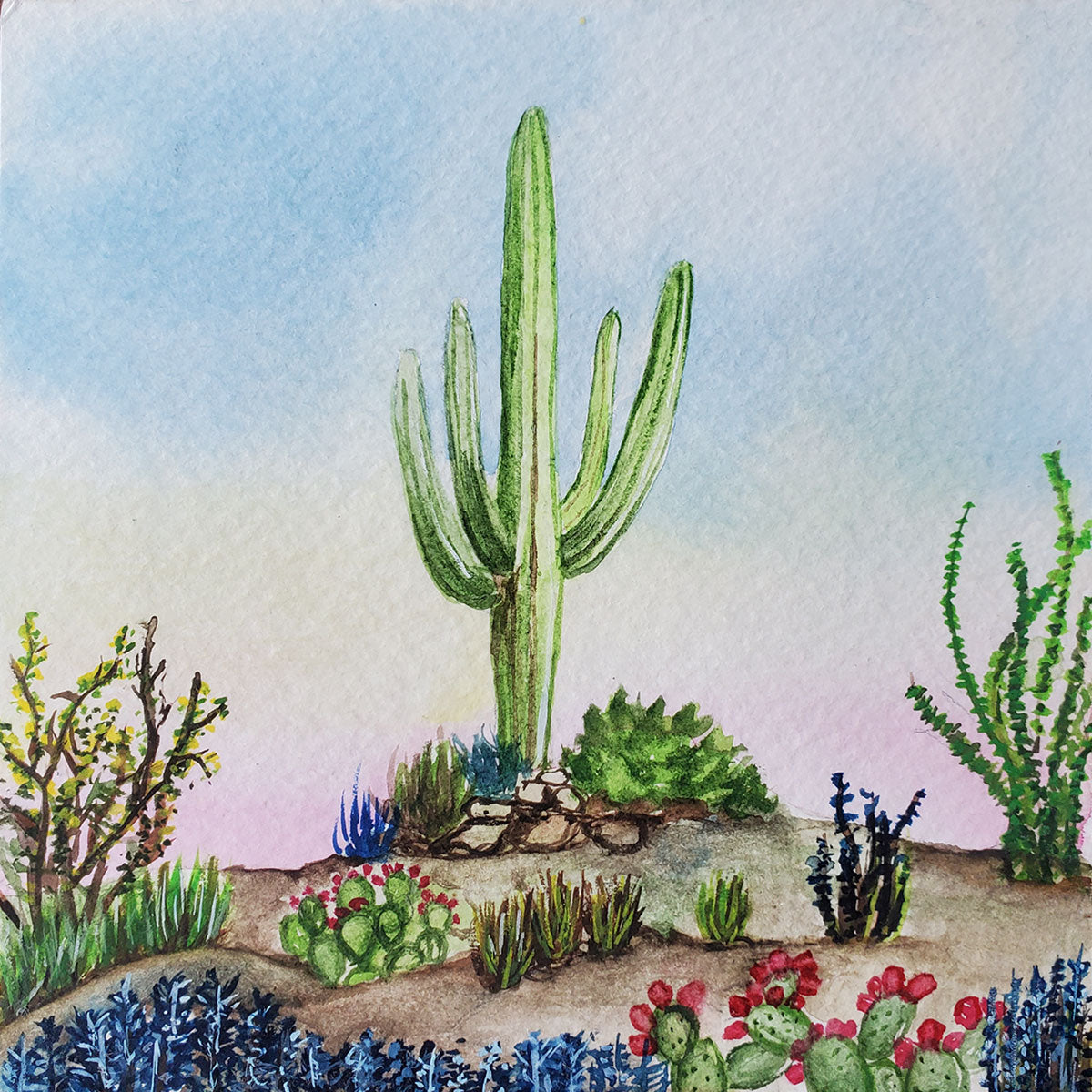 Early morning view of the Sonoran desert with Saguaro cactus, in the summer Painting is mounted on panel with wire on back, ready to hang 5 inches x 5 inches x 7/8 inch Signed on back 2023