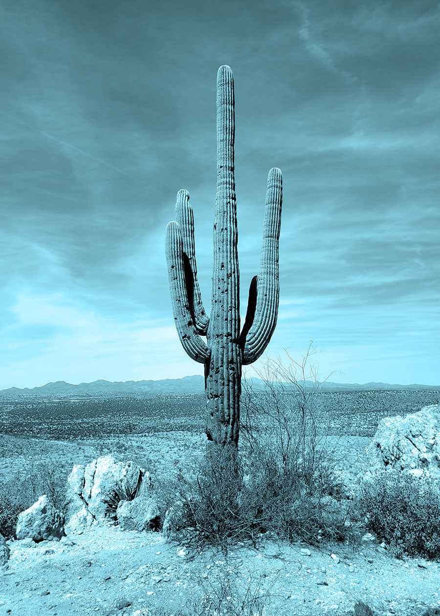 Beautiful monochrome photo in cyan blue. Single, majestic saguaro cactus photographed in the Sonoran desert. Original digital print on archival paper. Back is signed by artists. Ready to hang, 5 by 7 inches