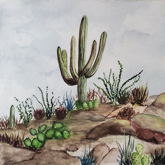 Original watercolor painting from the Linda Vista trail on a cloudy monsoon morning Painting is mounted on wood panel, wire on back - ready to hang 5 inches x 5 inches x 3/4 inch Signed on back 2022