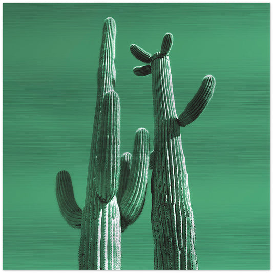 New Arms Saguaro Cactus