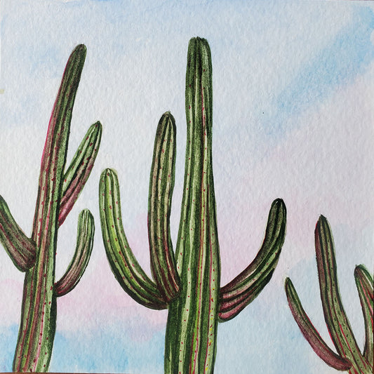 Saguaros in Pink & Green