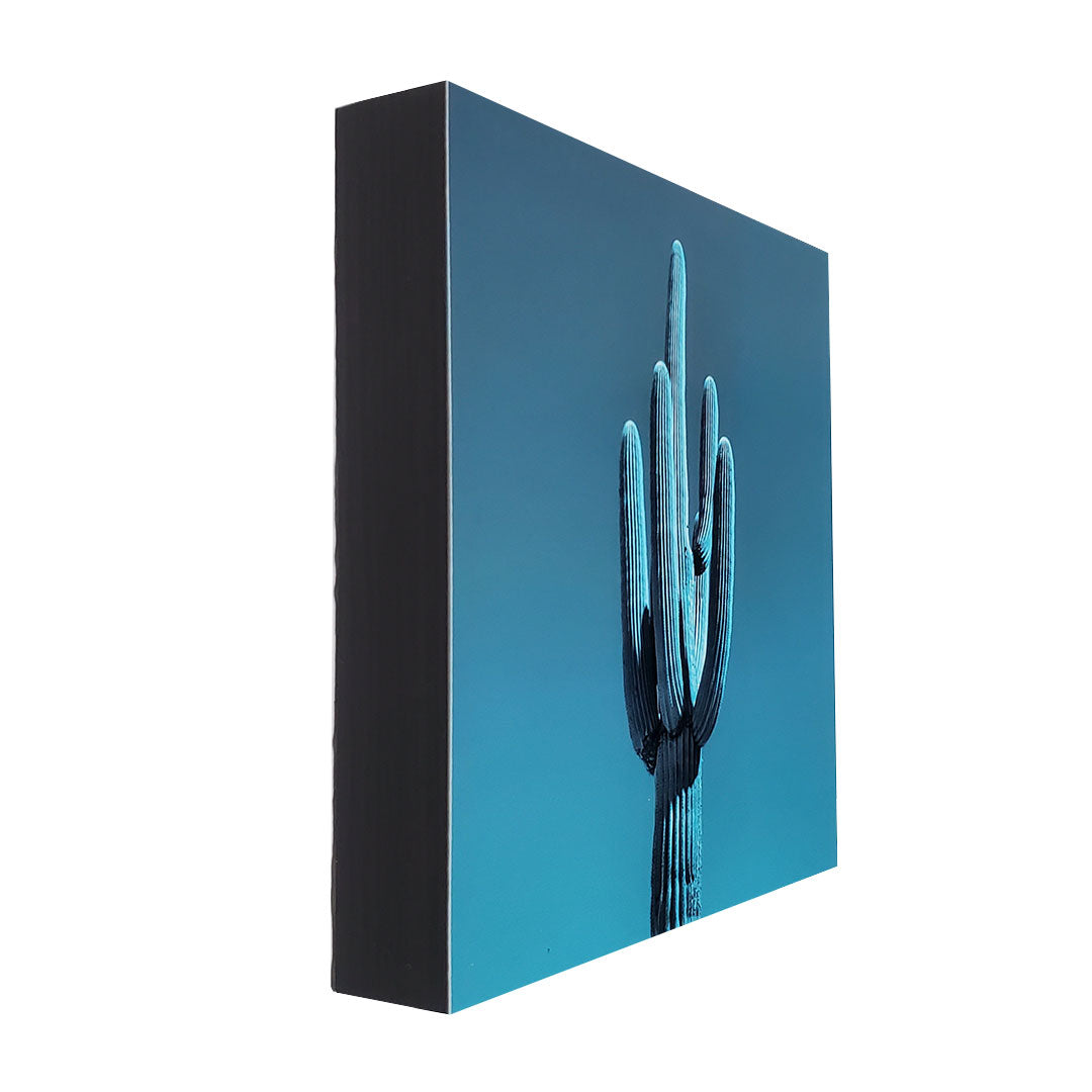 Single Saguaro - Steel Blue